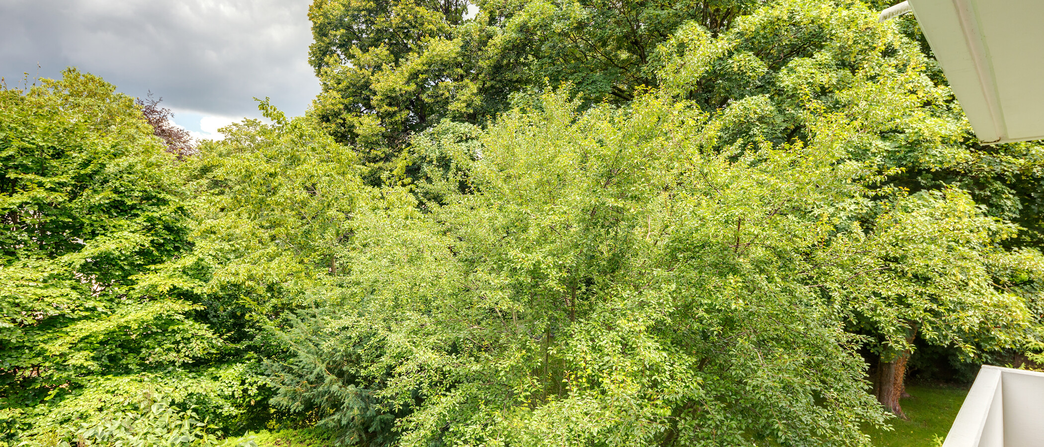 公寓 München Herzogpark 04 景观 11149