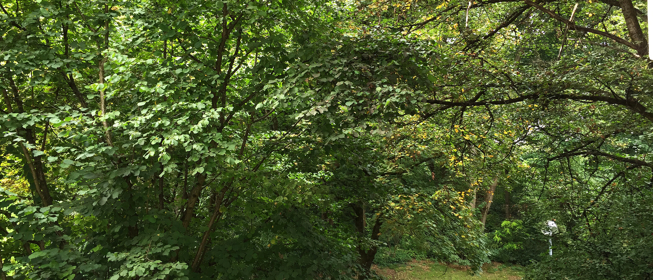 租用公寓 München Schwabing-West 01 景观 11238