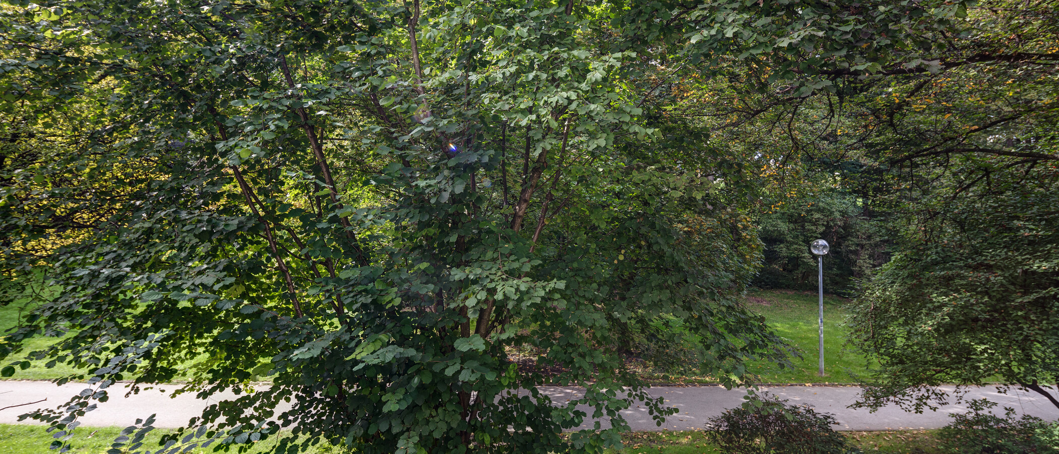 租用公寓 München Schwabing-West 03 景观 11238