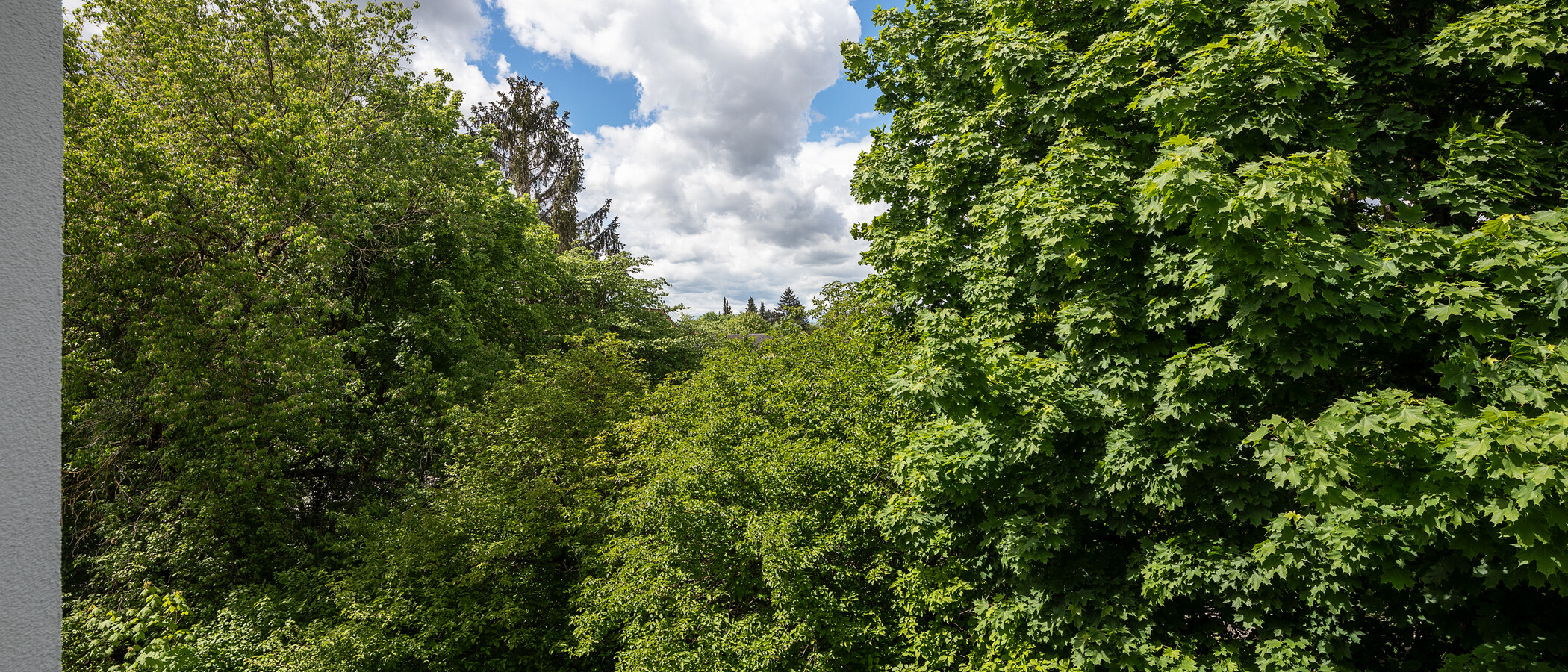 公寓 München Nymphenburg 05 景观 11535