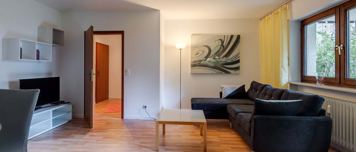 公寓 München Harlaching 01 客厅 1155