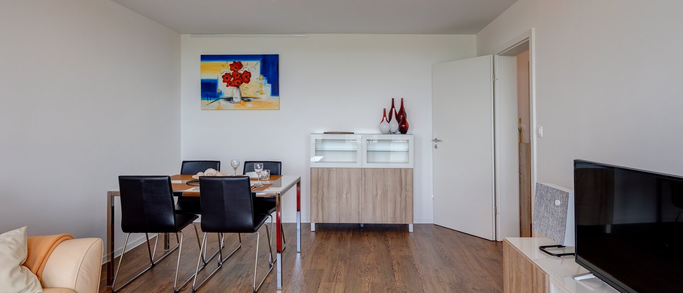 公寓 Oberschleißheim 04 客厅 11550