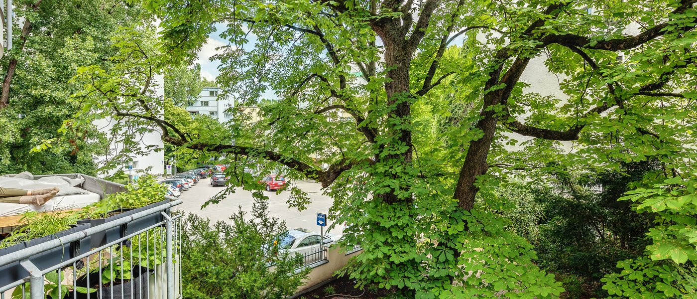 公寓 München Schwabing 03 景观 12216