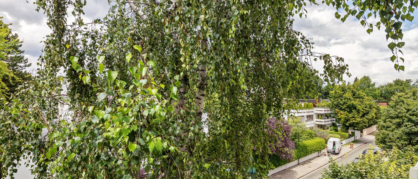 公寓 München Herzogpark 03 景观 12265