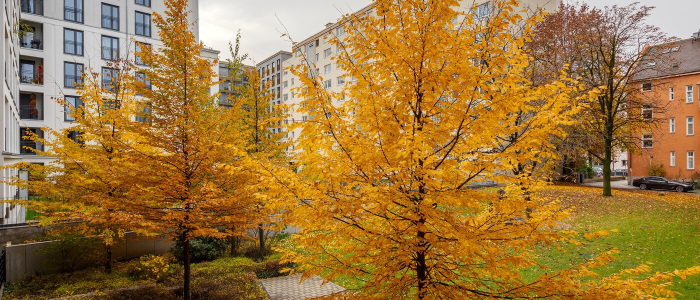 公寓 München Bogenhausen 01 景观 12389