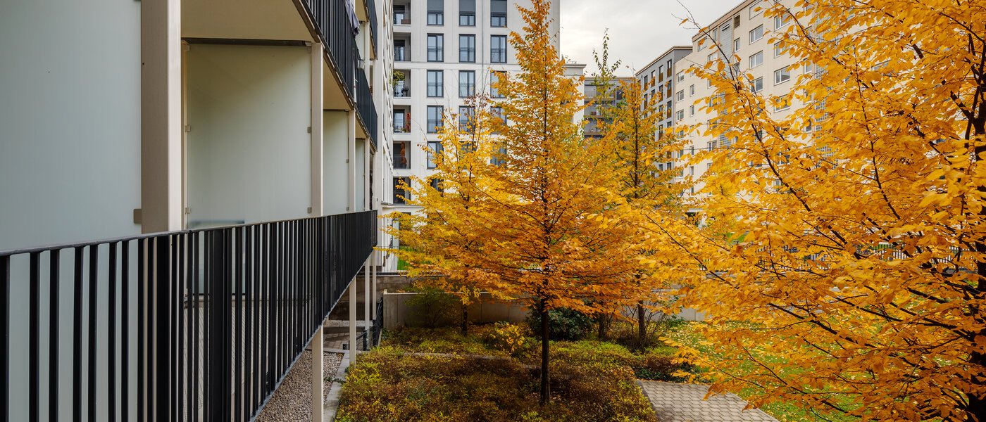 公寓 München Bogenhausen 02 景观 12389