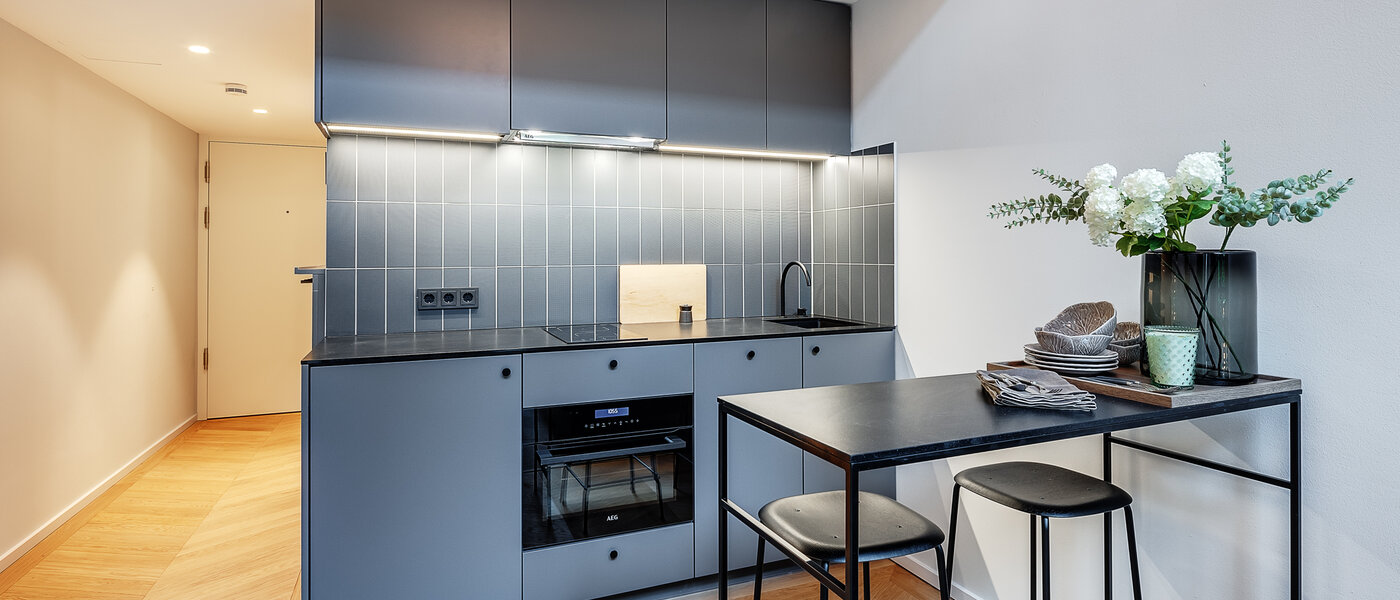 越层公寓 München Herzogpark 01 厨房 12618