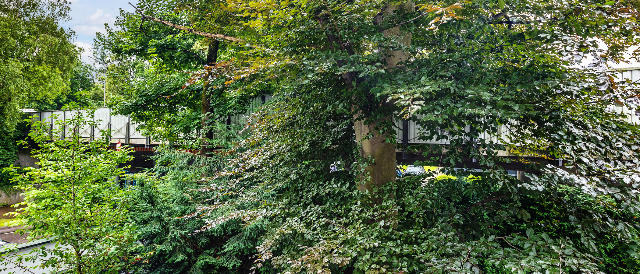 公寓 München Herzogpark 04 景观 12628
