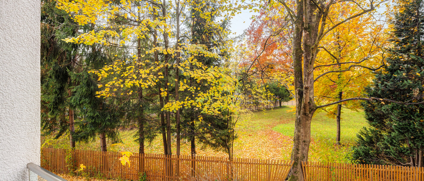 公寓 München Cosimapark 01 景观 12861