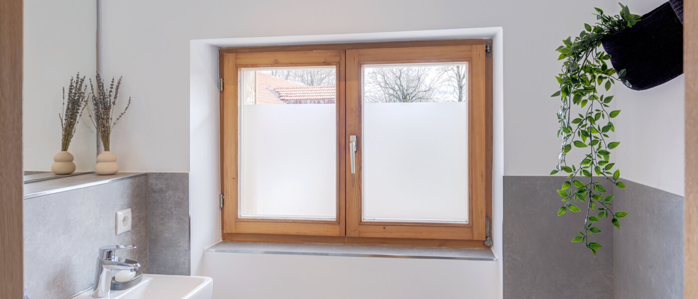 双层公寓 Gmund am Tegernsee 02 客用厕所 12967