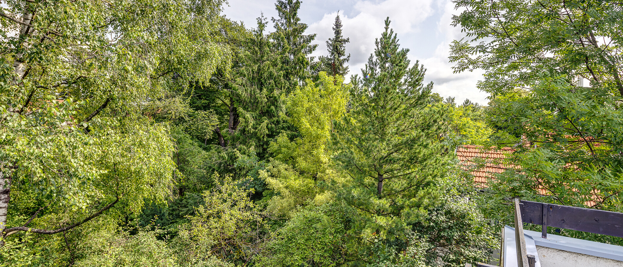 复式公寓 München Pasing 04 景观 13062