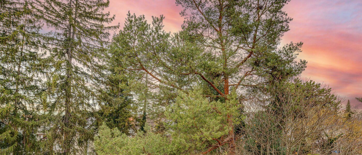 屋顶露台公寓 München Moosach 03 景观 13292