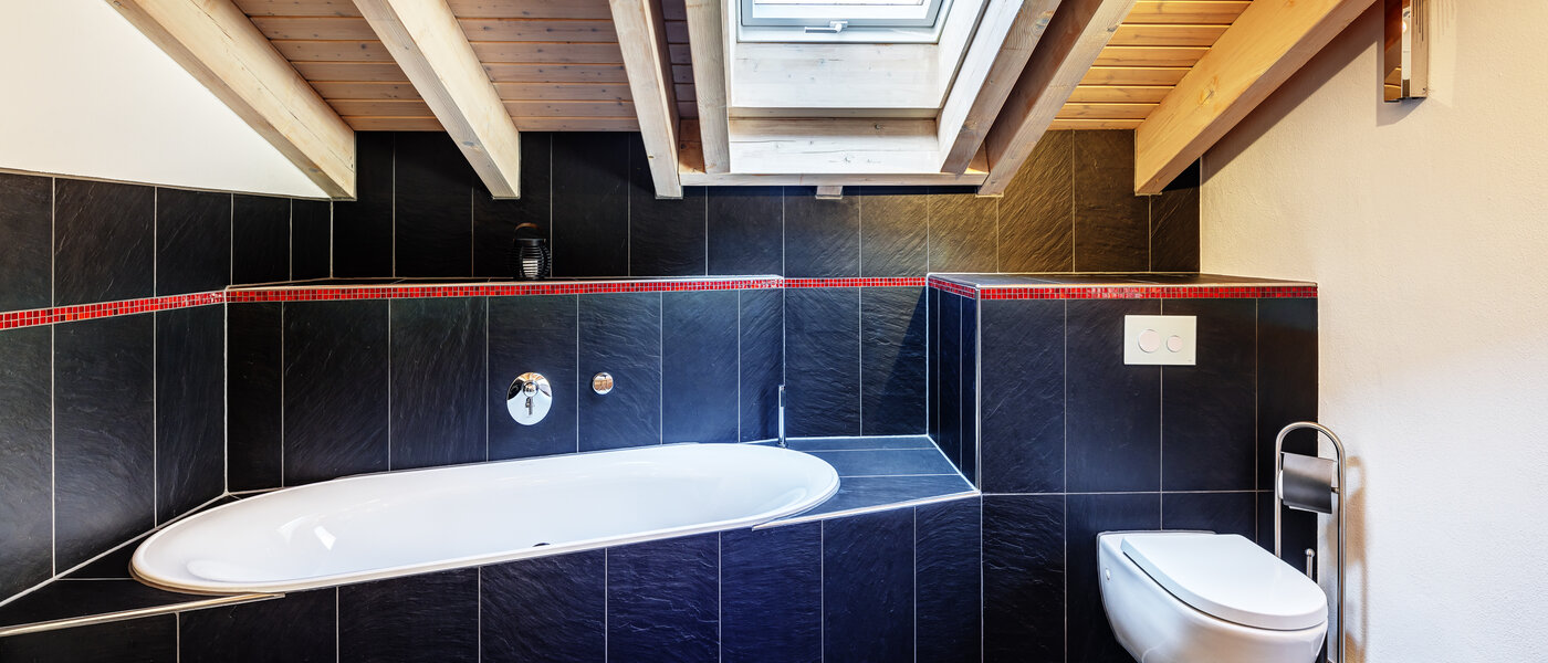 阁楼公寓 Tegernsee 04 卫生间 13299