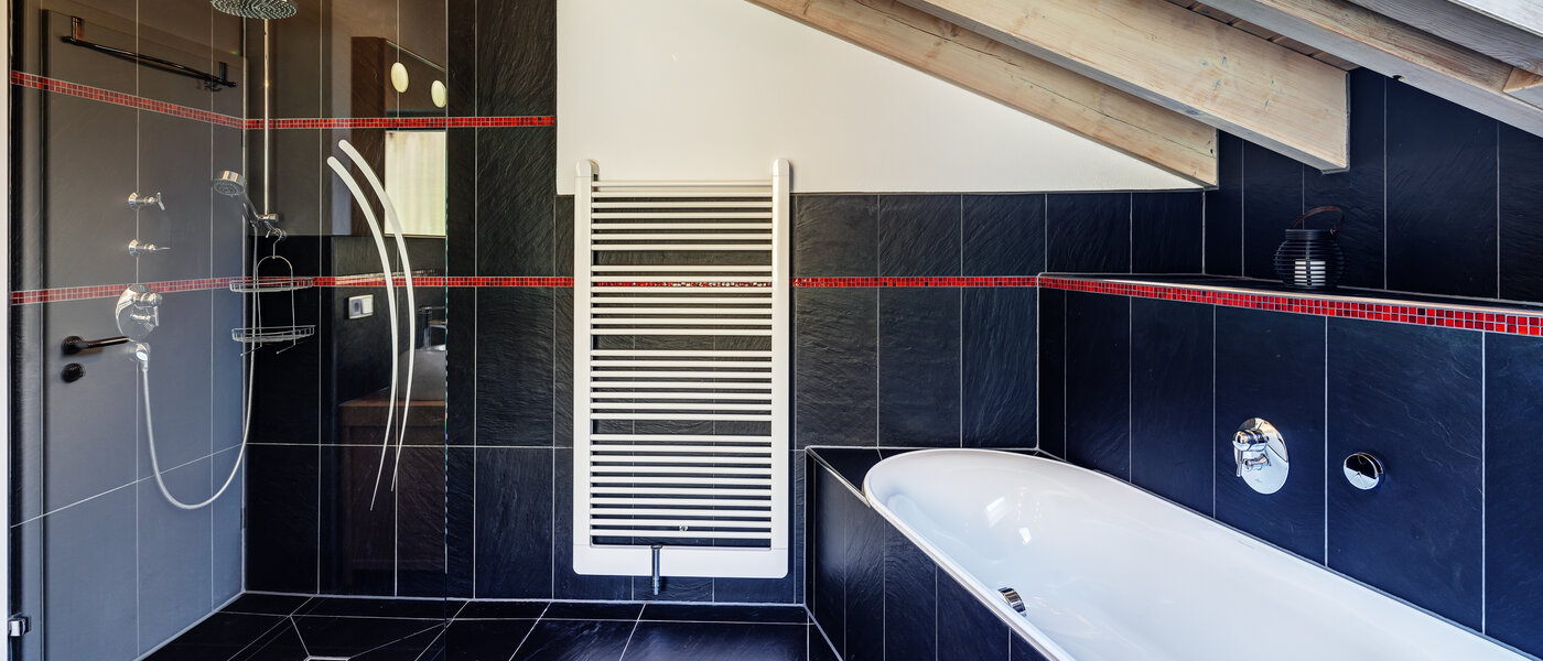 阁楼公寓 Tegernsee 05 卫生间 13299