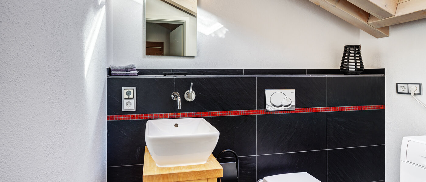 阁楼公寓 Tegernsee 01 客用厕所 13299