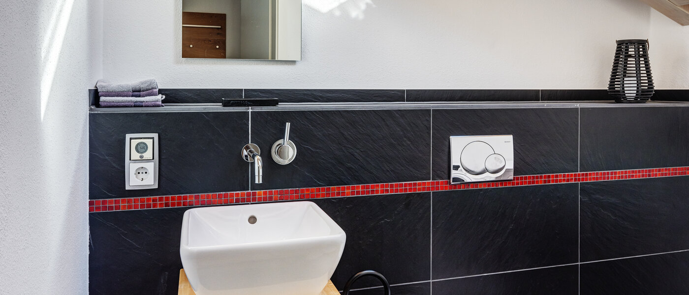 阁楼公寓 Tegernsee 02 客用厕所 13299