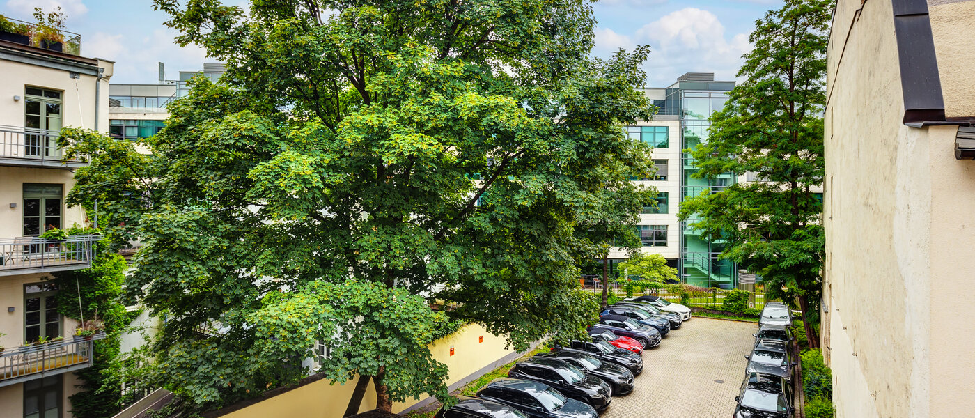 公寓 München Lehel 03 景观 13583