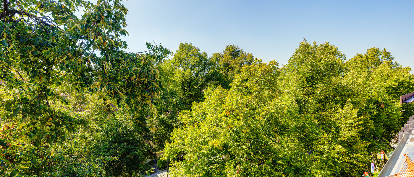 屋顶露台公寓 München Ramersdorf 04 景观 13657