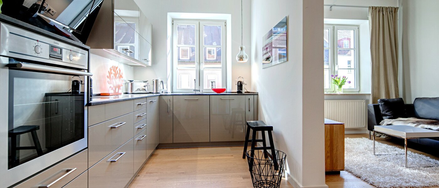 公寓 München Maxvorstadt - Universitätsviertel 01 厨房 1368