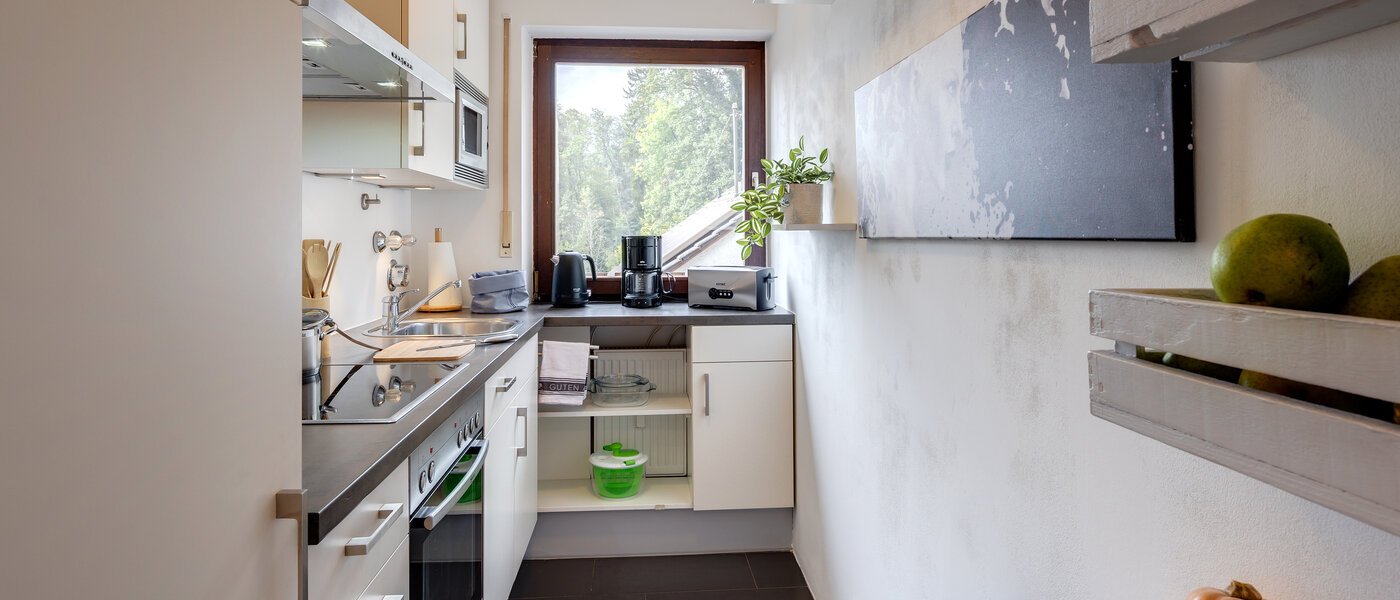 阁楼公寓 Eching 01 厨房 13716