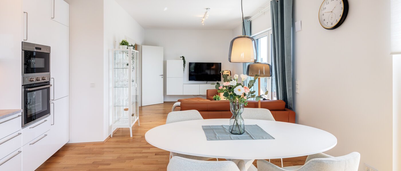 屋顶露台公寓 München Neuhausen 04 生活区 13934