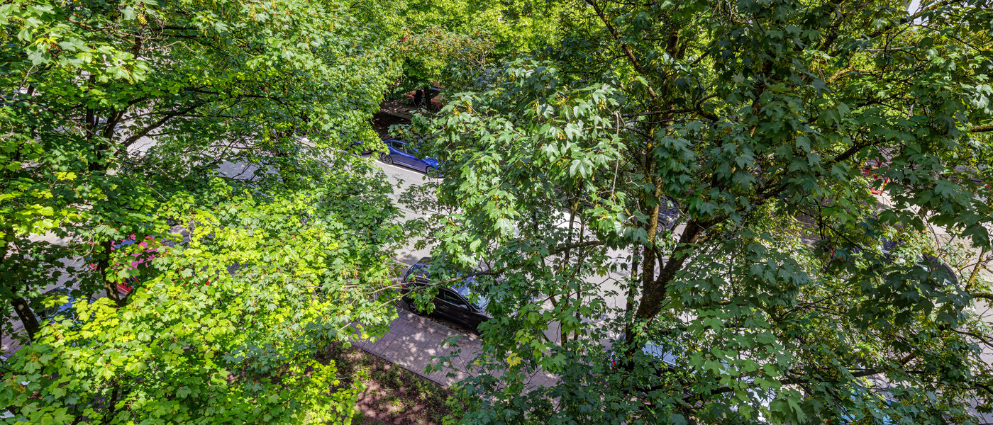 公寓 München Lehel 02 景观 13986