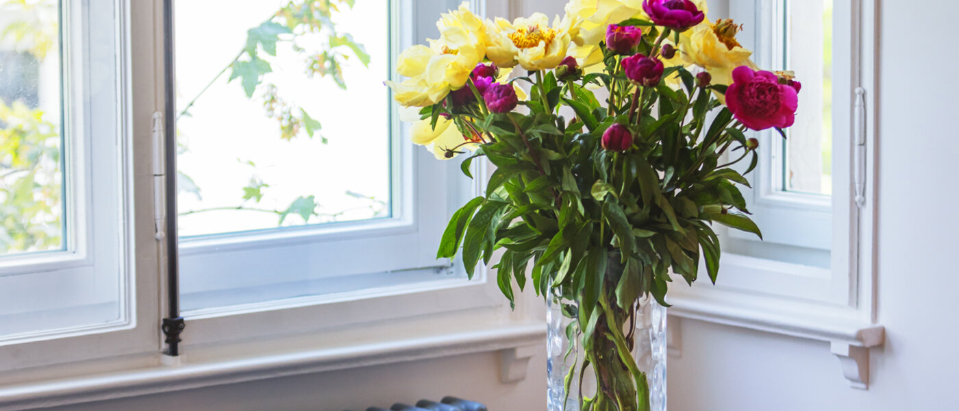 公寓 München Lehel 02 生活区 13986