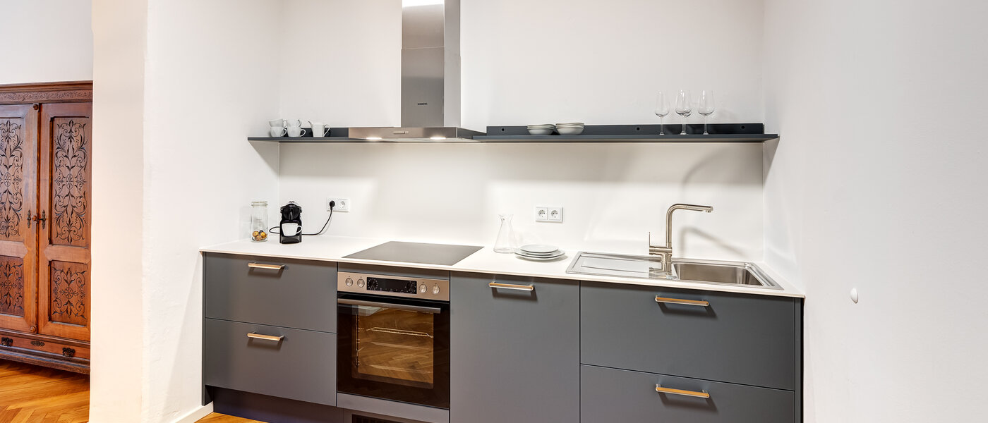 公寓 München Maxvorstadt - Museumsviertel 01 厨房 14203