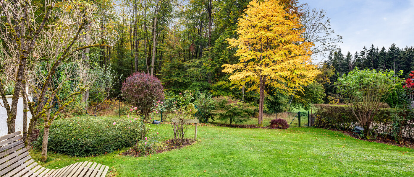 房子 Berg am Starnberger See 03 花园 14208