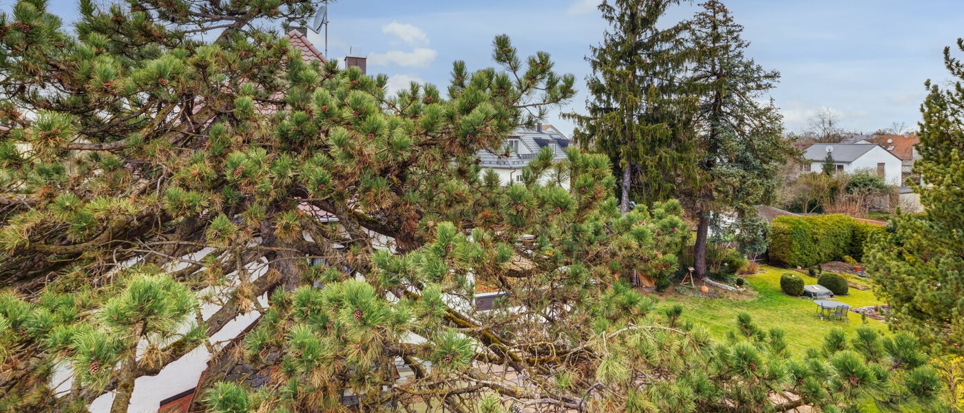 独户住宅 München Daglfing 03 景观 14387