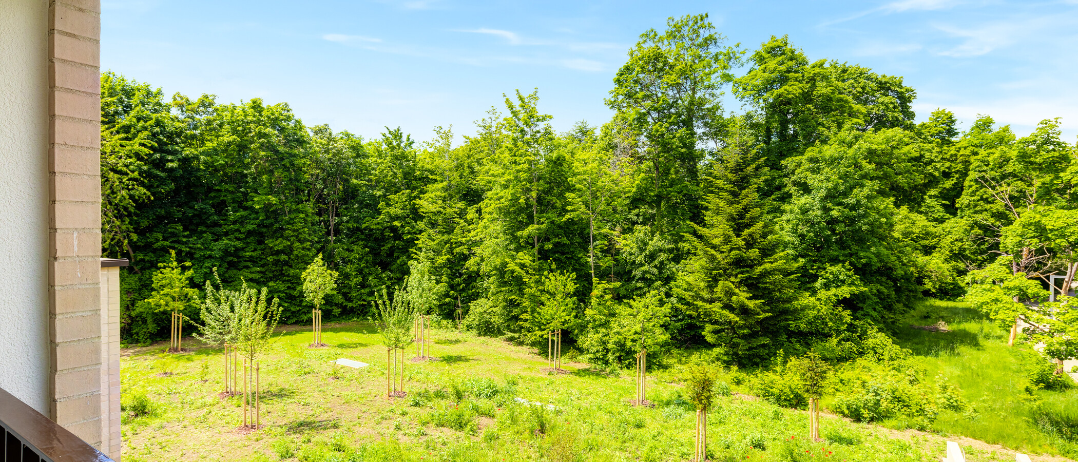 公寓 Haar 01 景观 14460