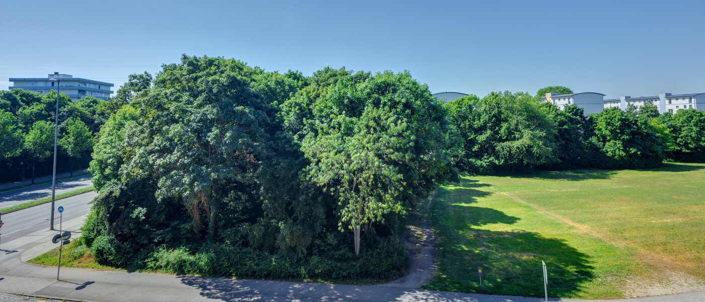 租用公寓 München Am Hart 01 景观 14506