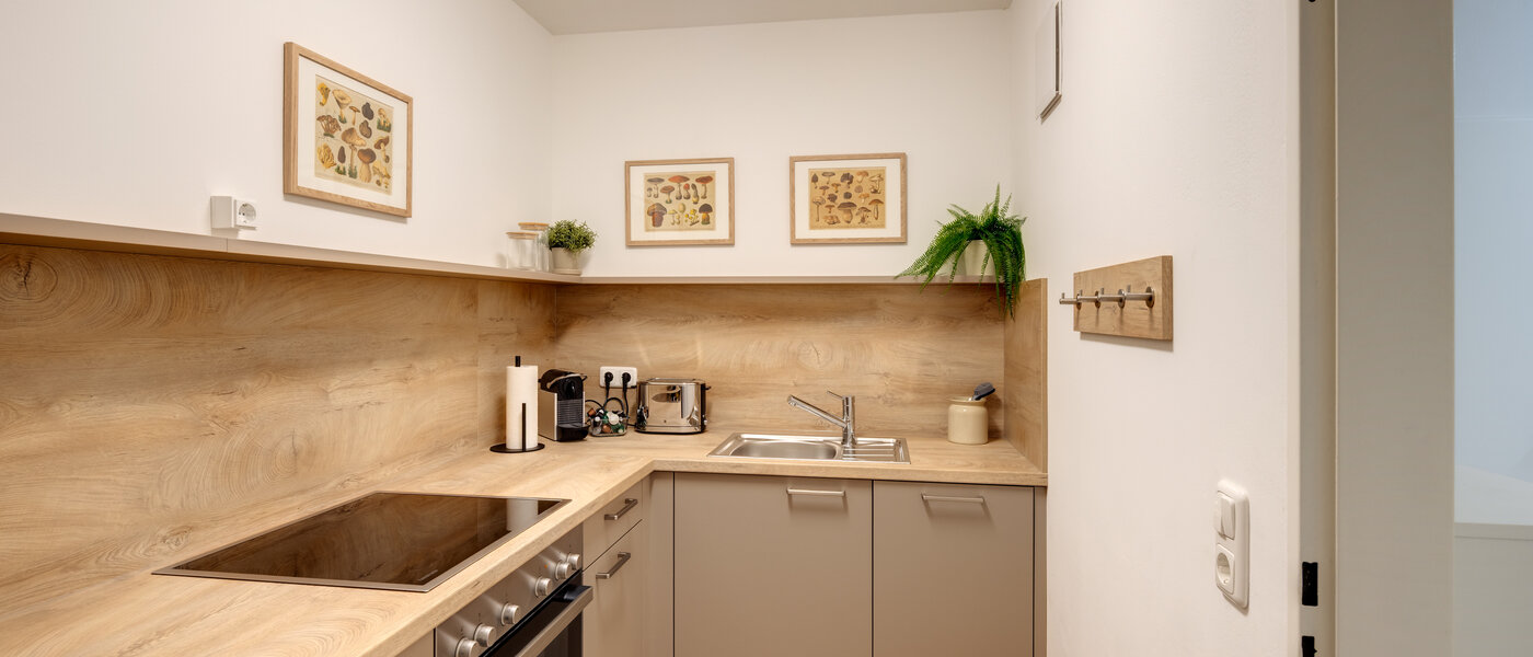 公寓 Freising 02 厨房 14550