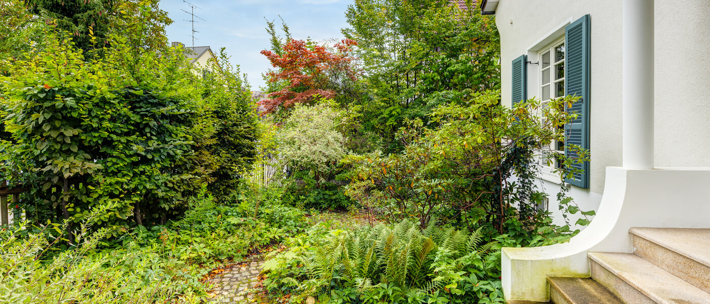 独户住宅 München Obermenzing 05 花园 14582