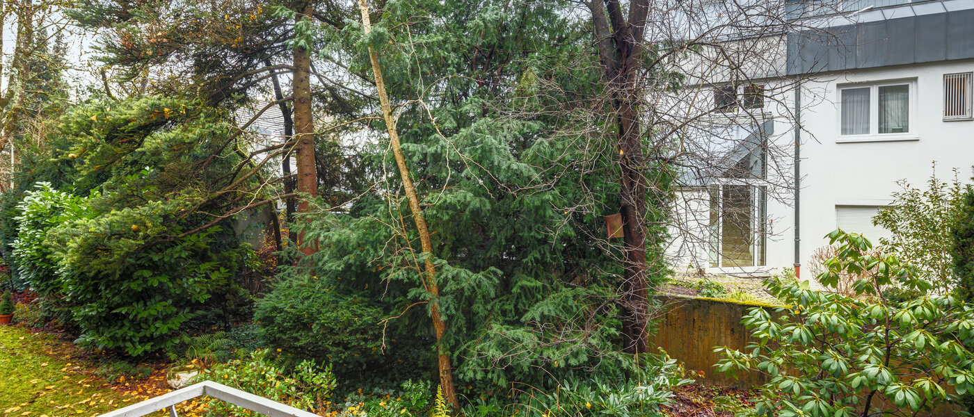 公寓 München Solln 01 景观 14682