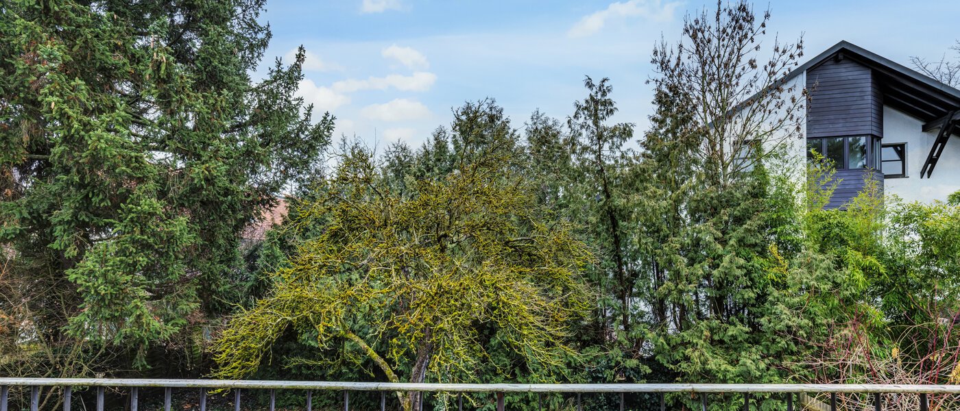 复式公寓 München Cosimapark 01 景观 14688