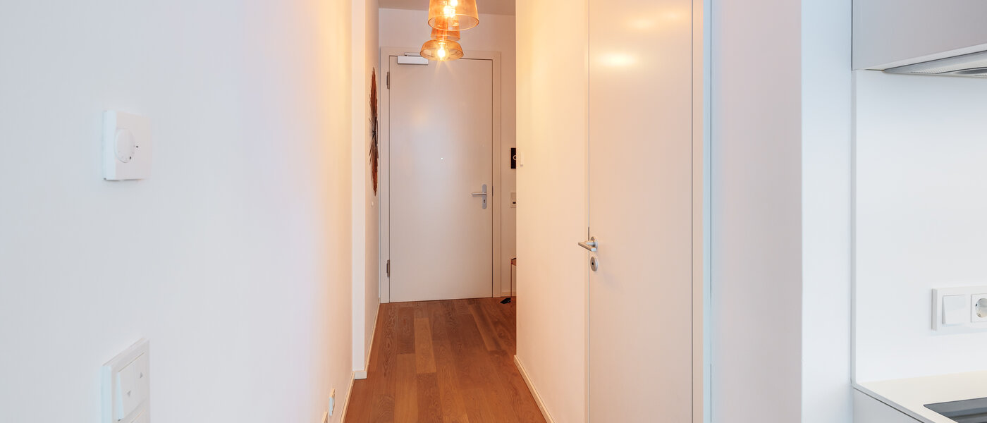 屋顶露台公寓 München Neuhausen 02 门厅 14699