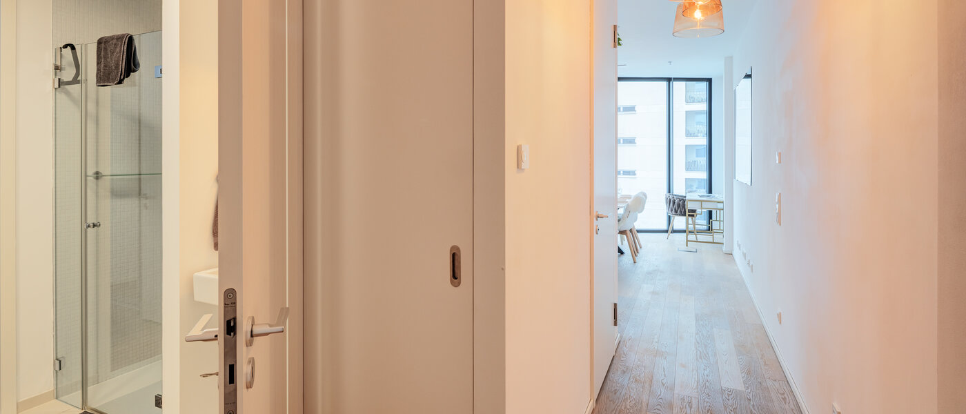 屋顶露台公寓 München Neuhausen 03 门厅 14699