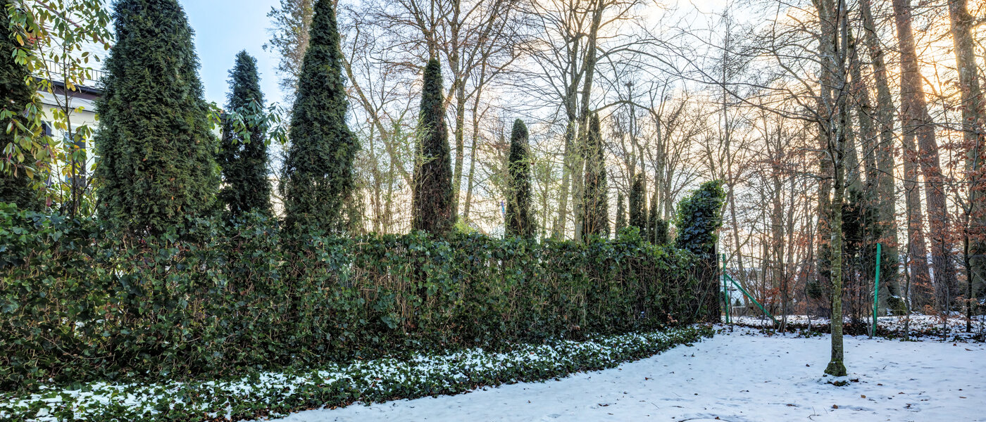 公寓 München Harlaching 01 花园 14713