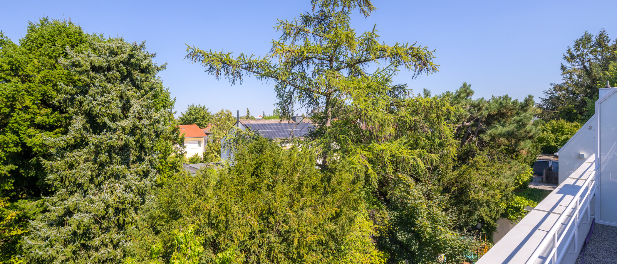 半独立式住宅 München Pasing 03 景观 14721