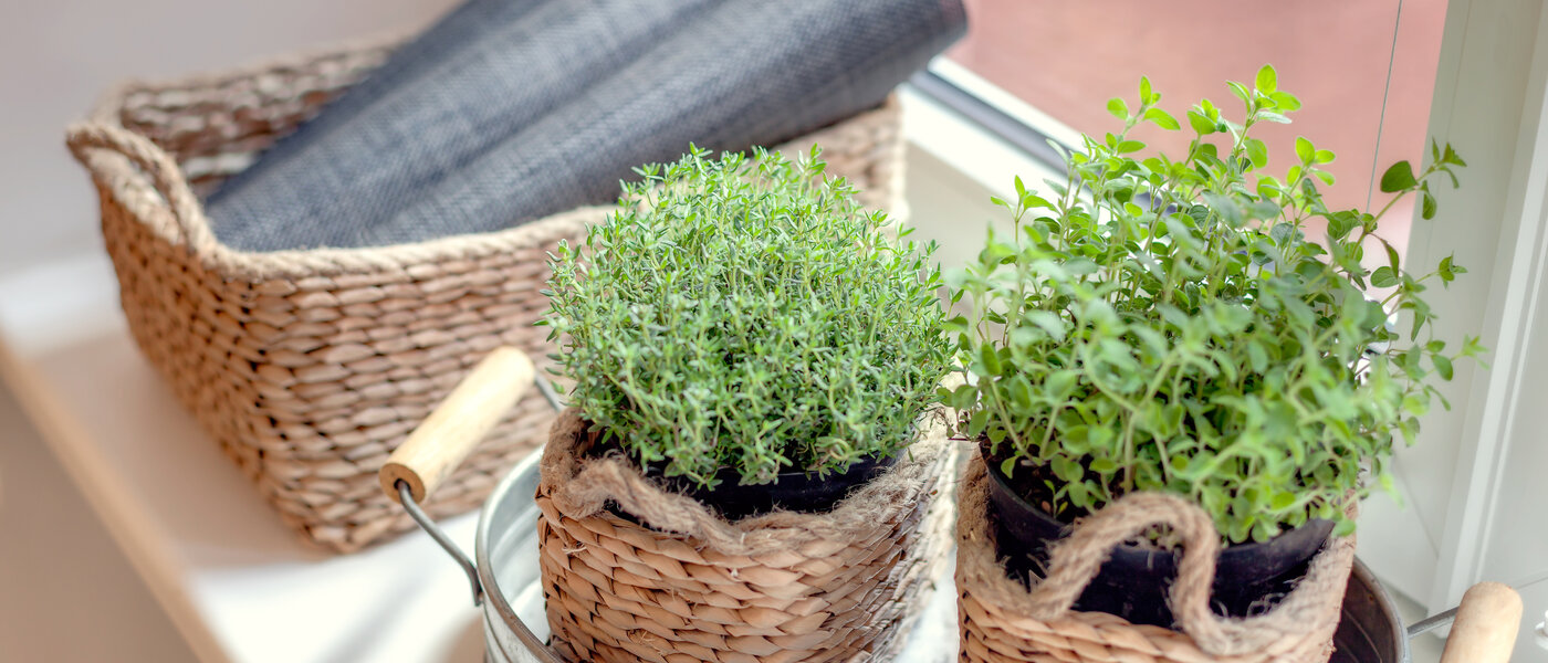 公寓 München Gärtnerplatzviertel 04 厨房 1590