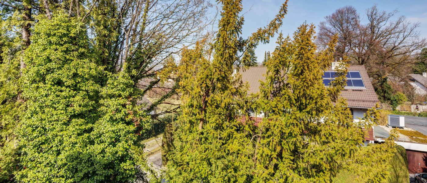 公寓 München Solln 03 景观 2378