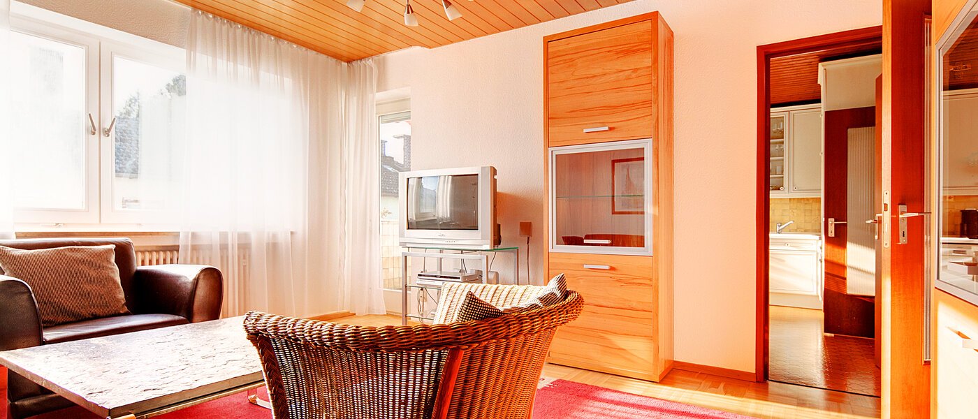 公寓 München Solln 03 客厅 2453