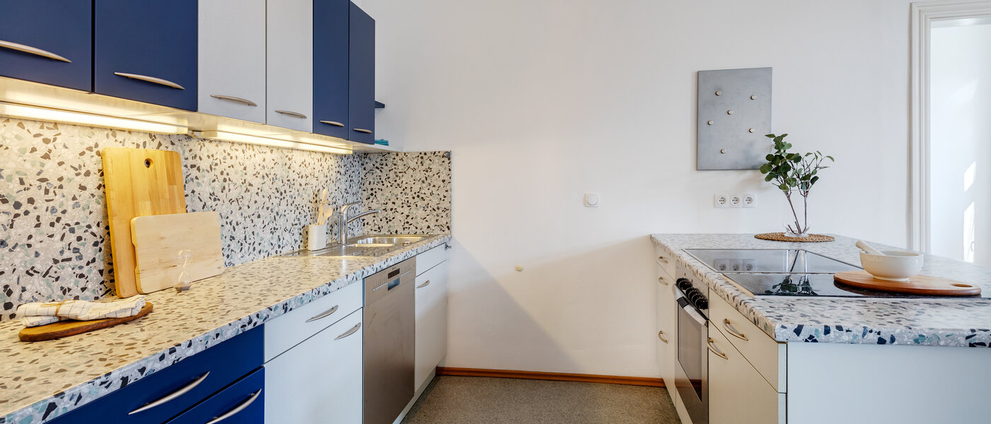 公寓 München Haidhausen 03 厨房 308