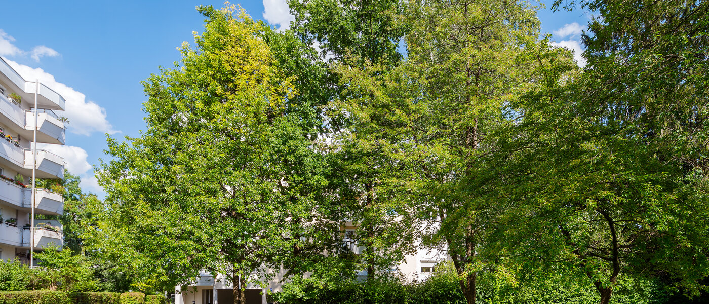 公寓 München Sendling-Westpark 02 内院 4419