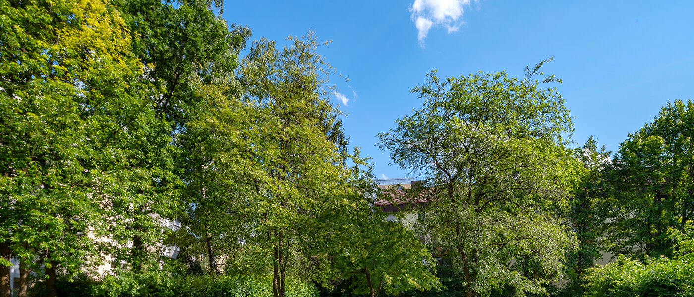 公寓 München Sendling-Westpark 03 内院 4419