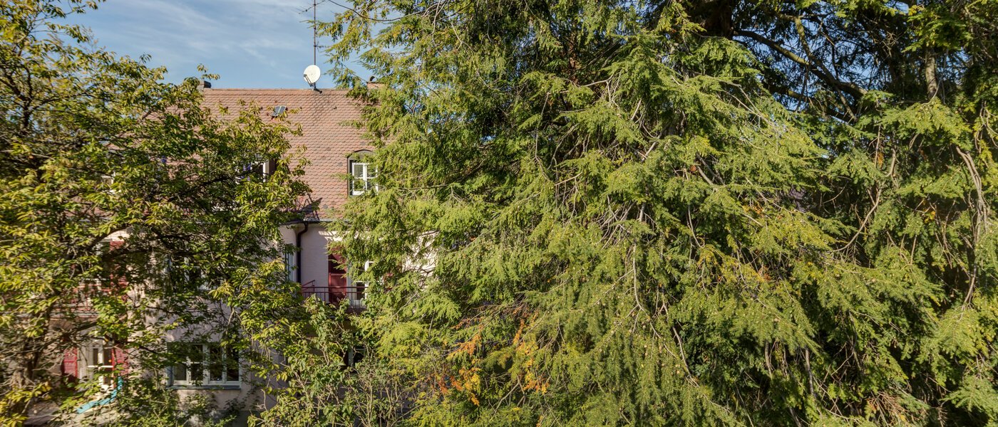 公寓 München Nymphenburg-Gern 02 景观 4670