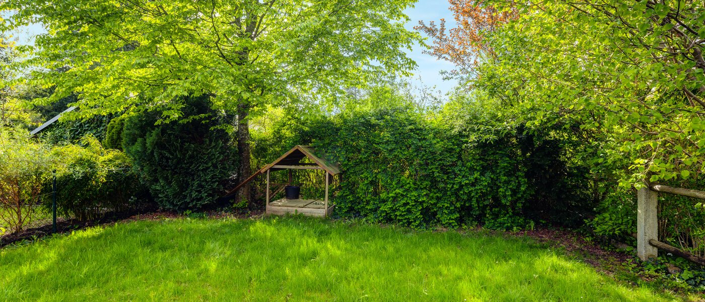 联排别墅 München Westpark 03 花园 5296