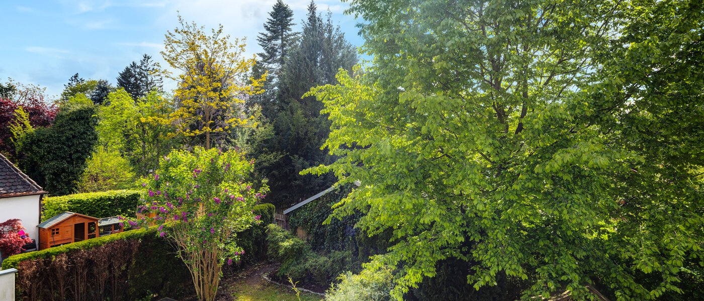 联排别墅 München Westpark 01 景观 5296