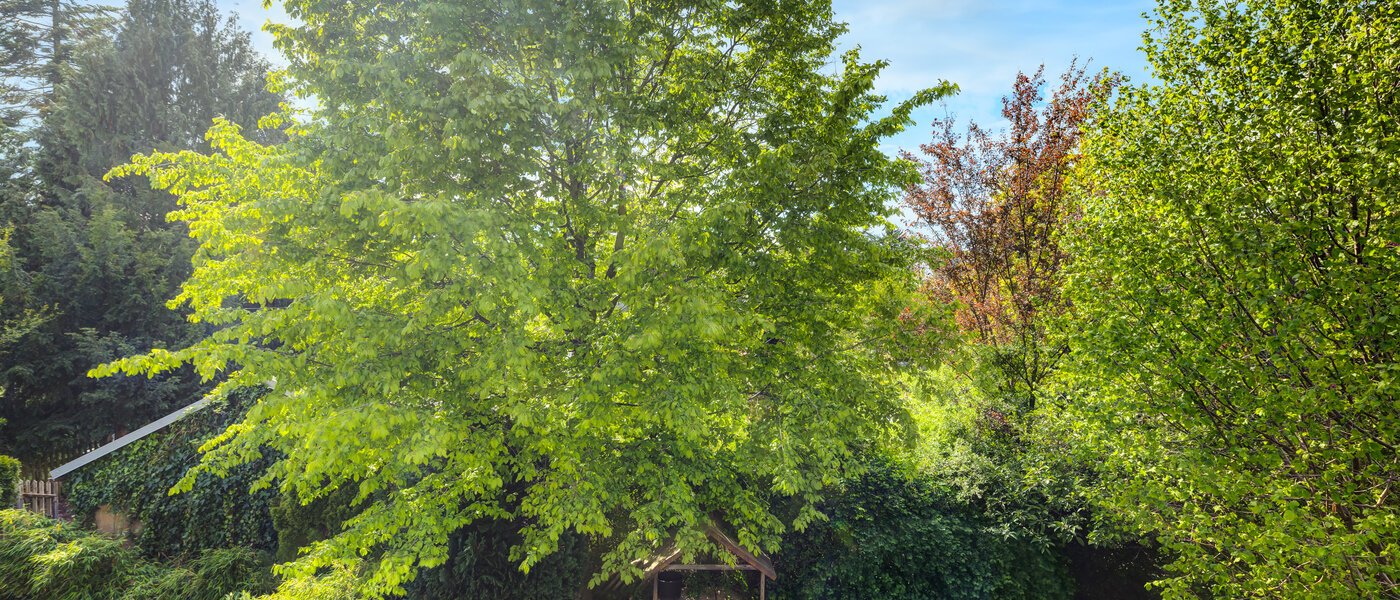 联排别墅 München Westpark 02 景观 5296